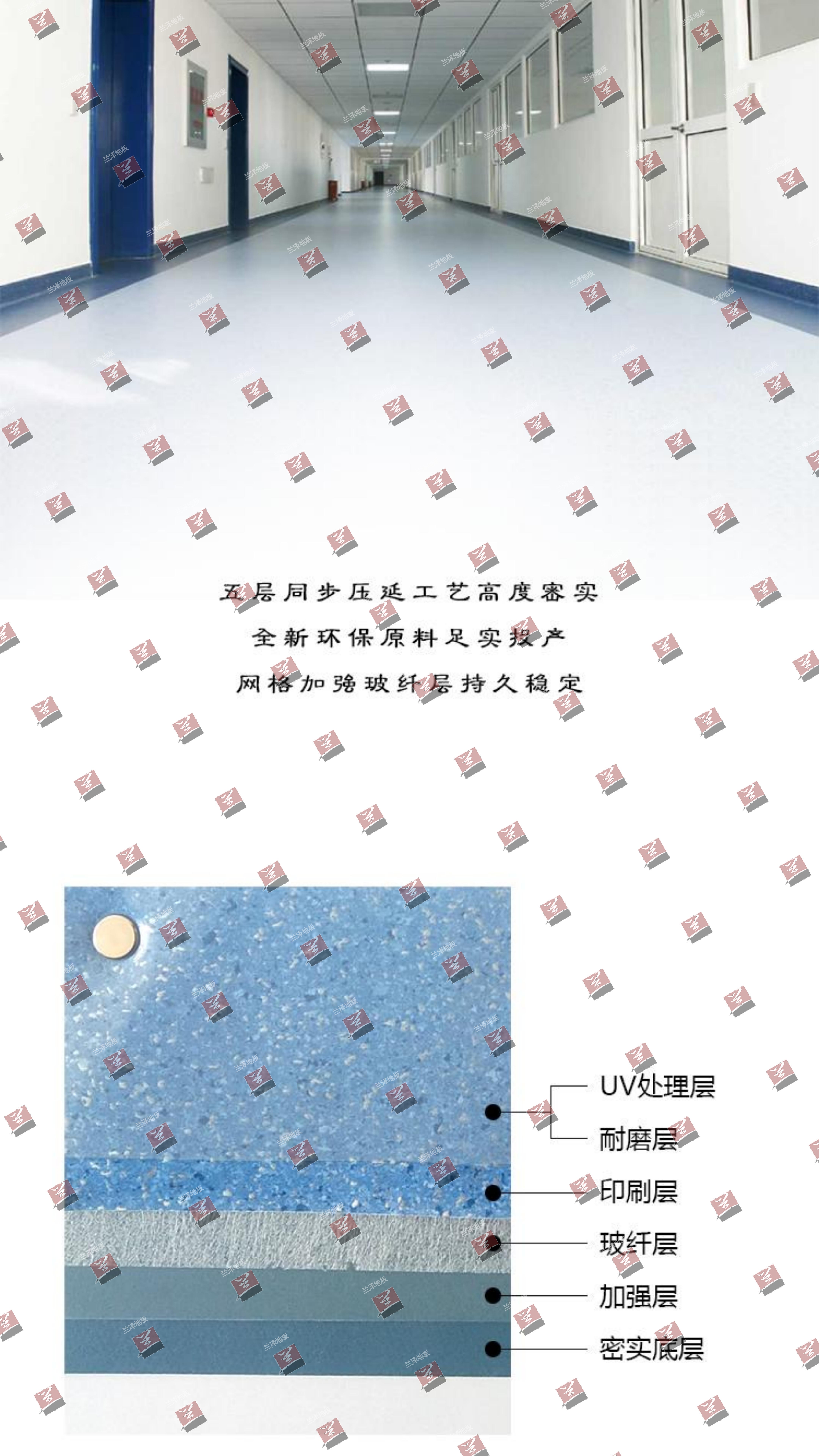 星驰系列 Xingchi 图3