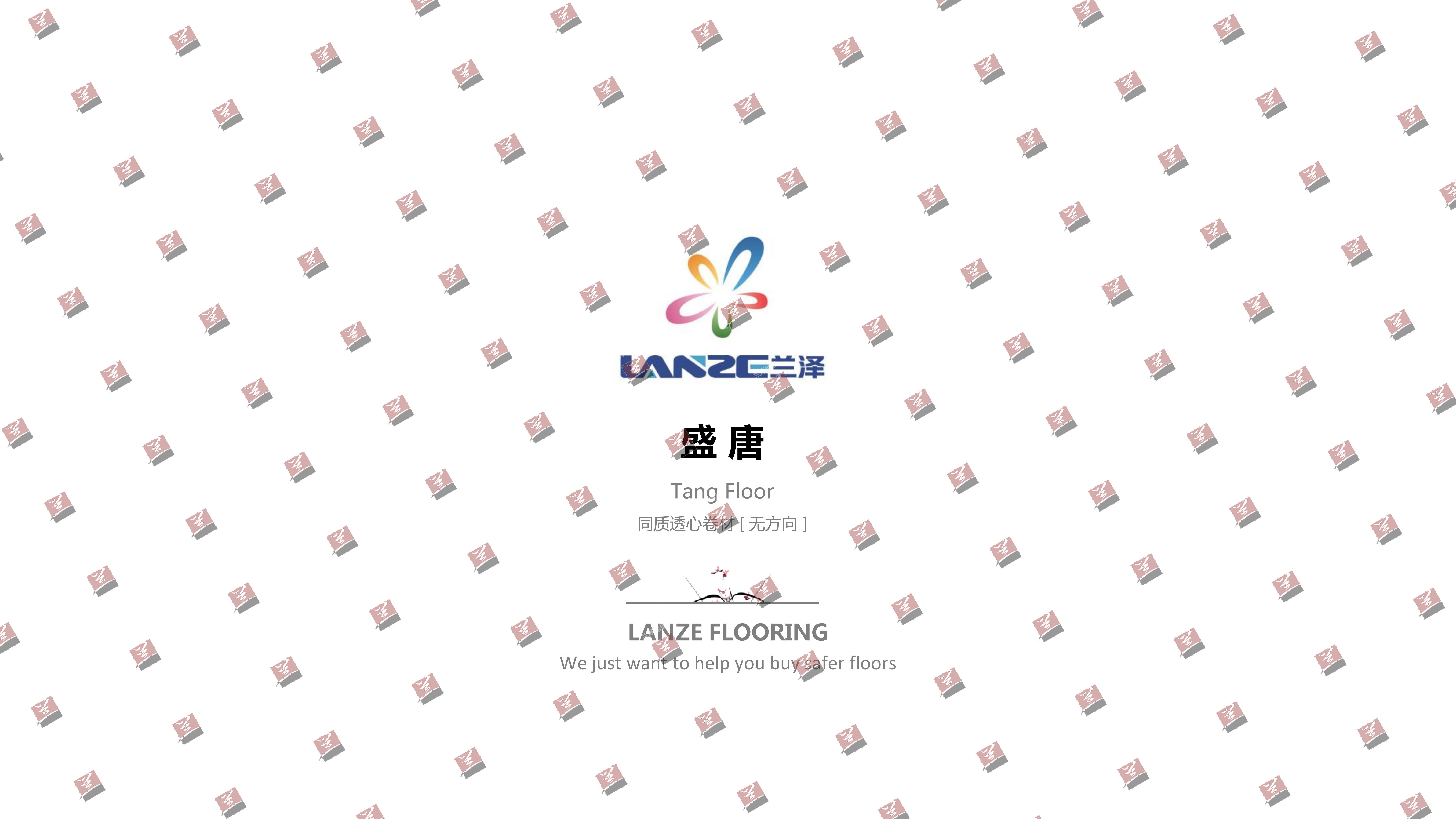 盛唐 - Tang 产品图1